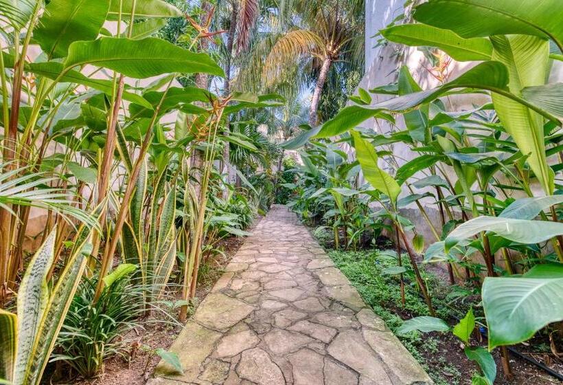 Boutique Hotel Secret Garden Granada