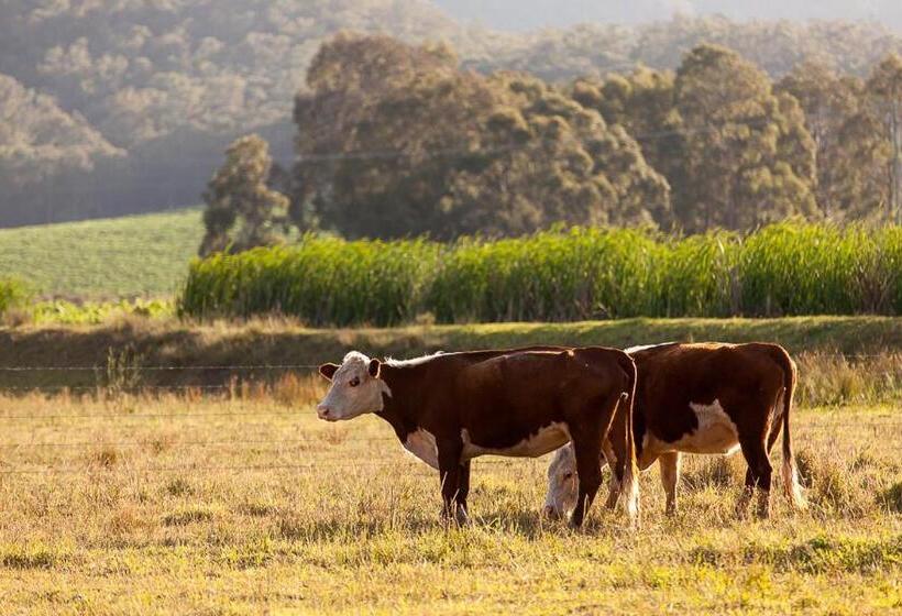 هتل Pokolbin Farm Stay