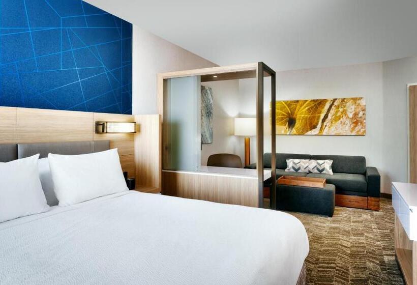 هتل Springhill Suites By Marriott Cottonwood