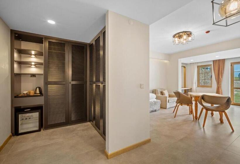 هتل Zeyt Inn