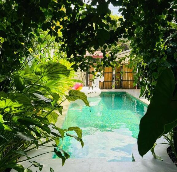 پانسیون Double Mango Villa