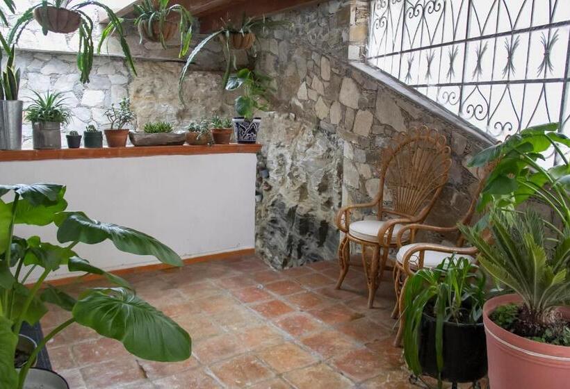 پانسیون Villa Mosaico   Luxury Lofts