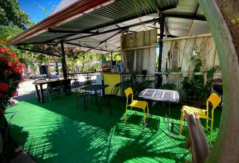 Rooms & Pool Macaws