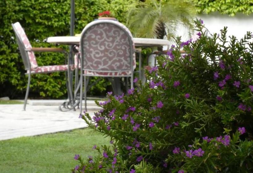 Villa Cecilia Bed And Breakfast