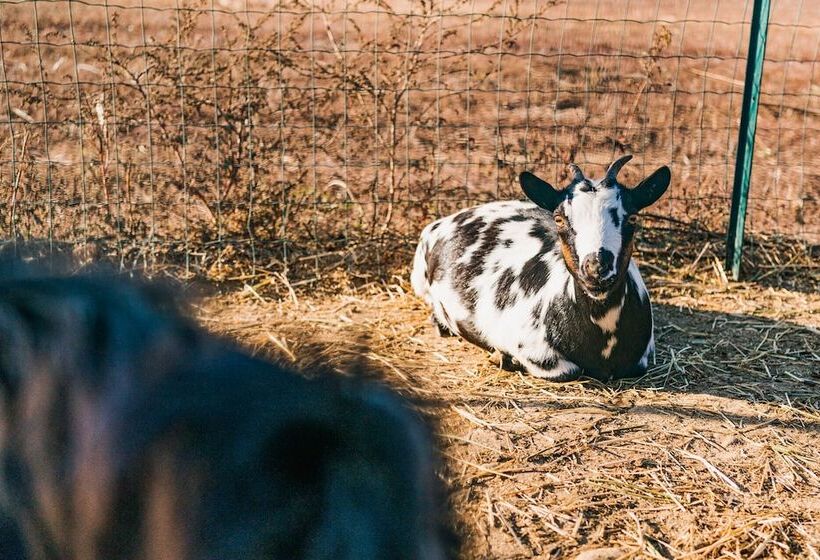 La Tenuta Di Santo Stefano Agri Resort & Spa