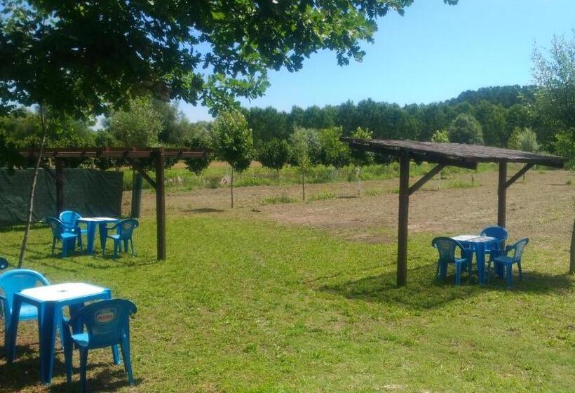 פנסיון Casa Del Puck