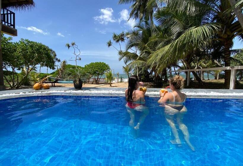 Отель Blue Ocean Resort