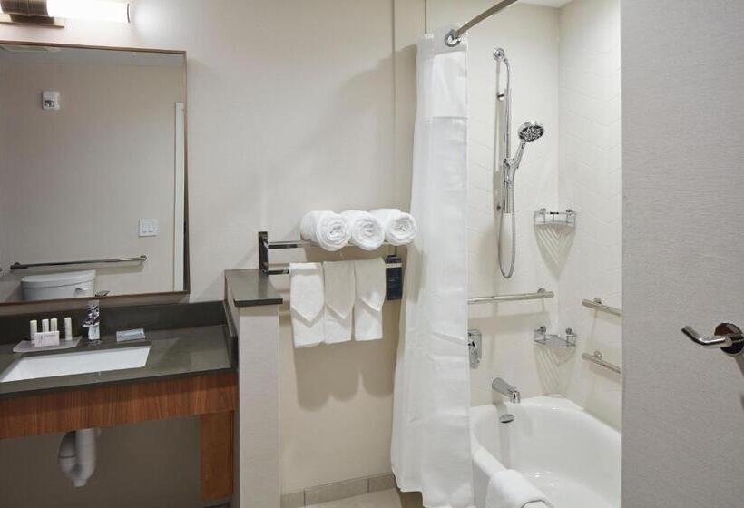 ホテル Fairfield Inn & Suites Seneca Clemson Univ Area