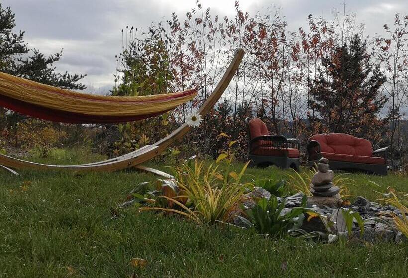 تختخواب و صبحانه Au Cachalot Caché Le Gîte Hôtel