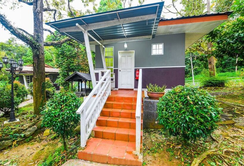 酒店 Spot On 89954 D Yan Chalet