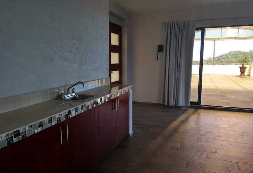 فندق Suites Don Miguel