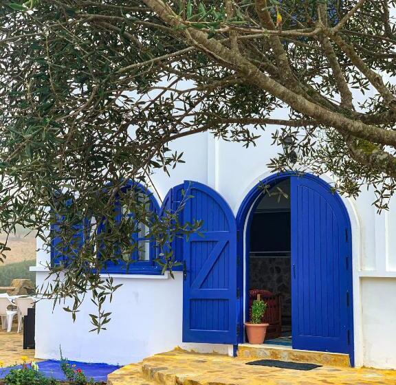 پانسیون Dmina House