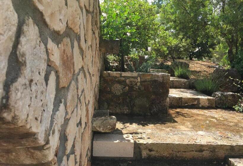 تختخواب و صبحانه Casa Zucchetta