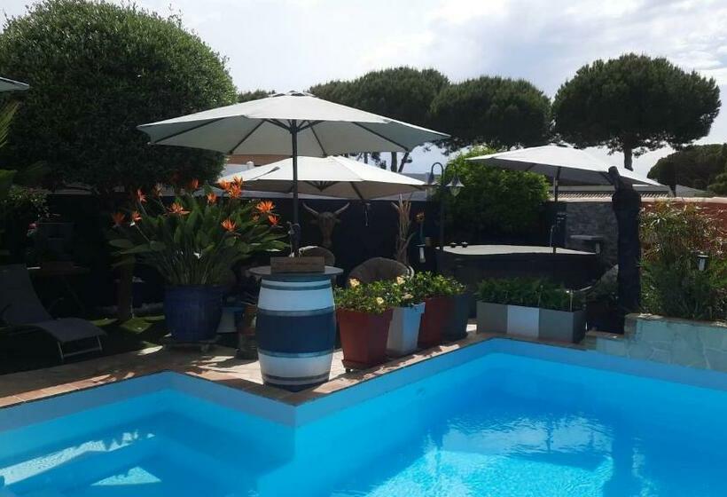 تختخواب و صبحانه Hébergement Chambre D Hôtes Grau Du Roi Mas Des Marines Piscine Adult Only