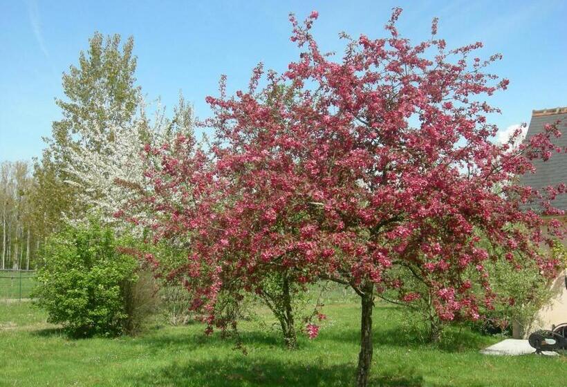 민박 Chambre D Hôtes