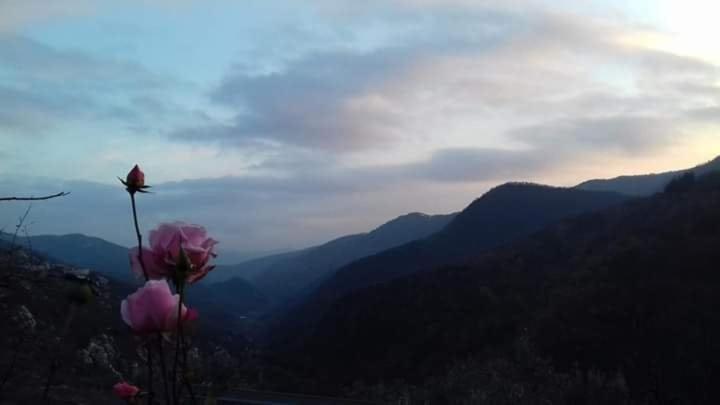 مبيت وإفطار Il Girasole ...at Andorus  House