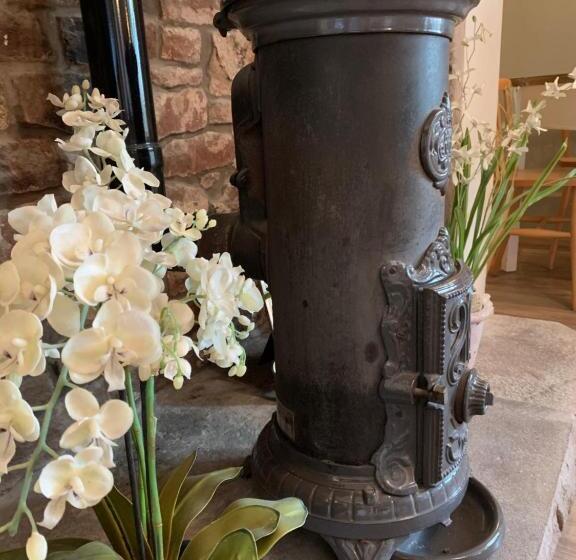 ベッドアンドブレックファースト No 3