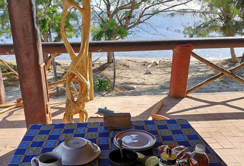 住宿加早餐  Xcalak Caribe Lodge