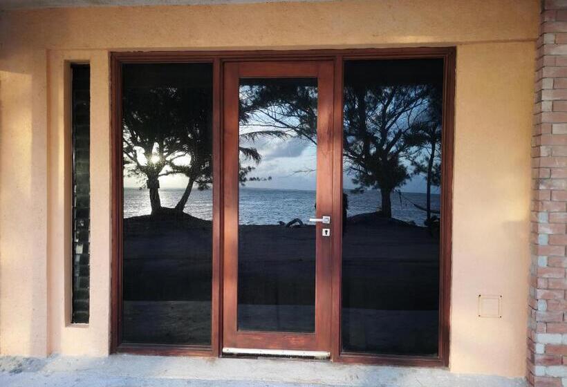 住宿加早餐  Xcalak Caribe Lodge