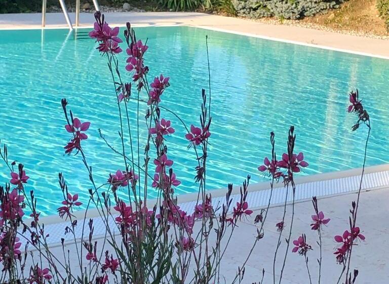 هتل Agriturismo Il Glicine Bianco