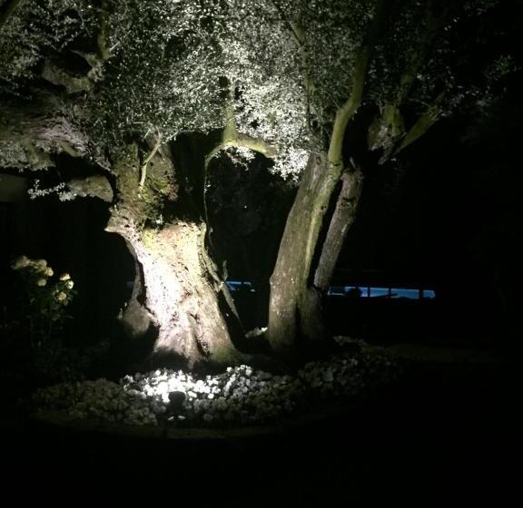 هتل Agriturismo Il Glicine Bianco