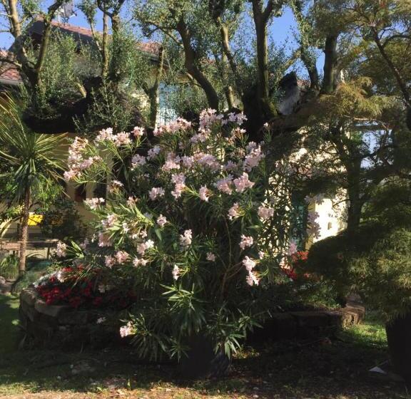 هتل Agriturismo Il Glicine Bianco