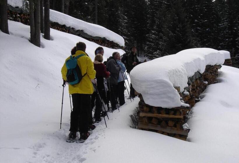 ユースホステル Alpengasthaus Gleinserhof