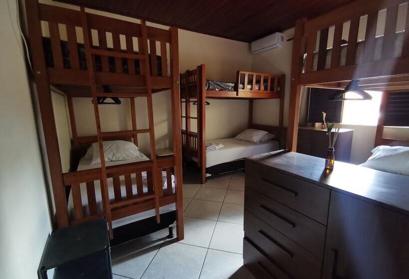 تختخواب و صبحانه Sos Hostel