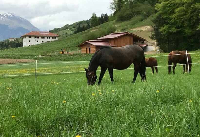 فندق Agriturismo Maso Pertener  Adults Only