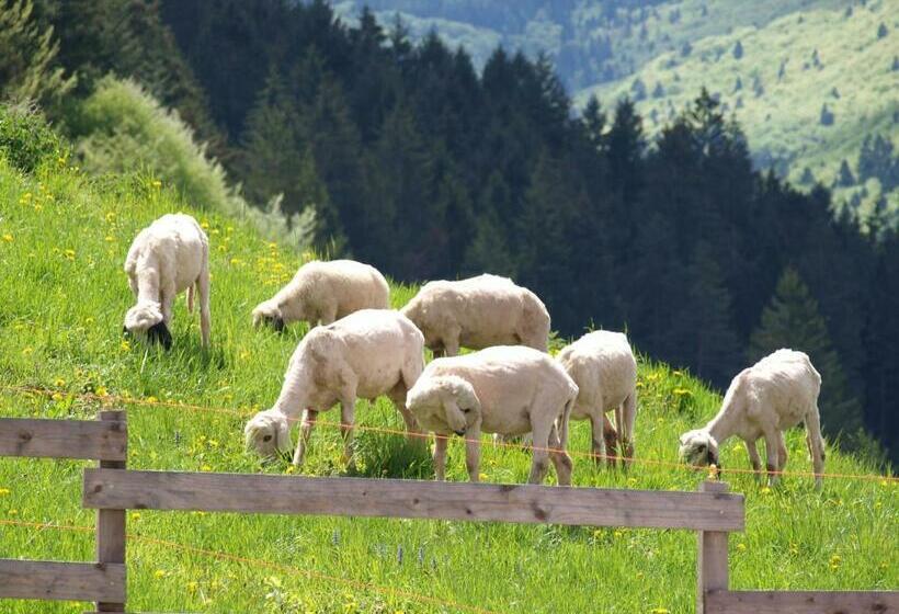 فندق Agriturismo Maso Pertener  Adults Only