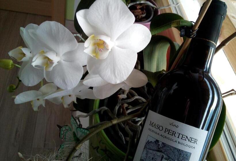 فندق Agriturismo Maso Pertener  Adults Only