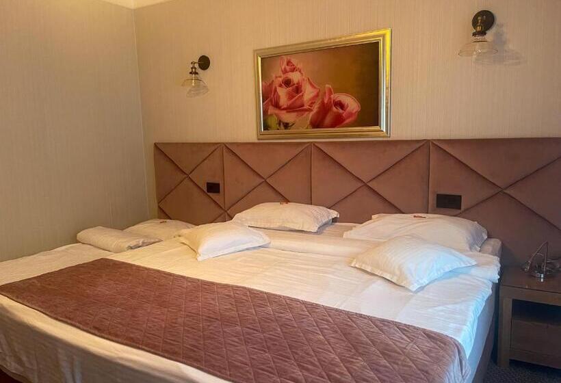 هتل Roser House Boutique   Pe Malul Lacului Colibita