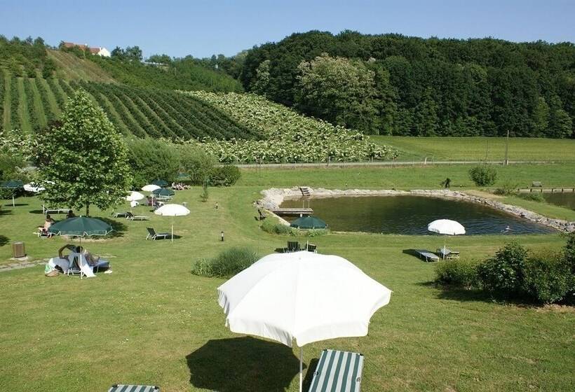 Genuss Und Wellnesshotel Puchas Kukmirn