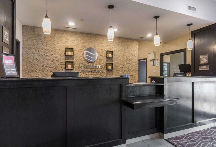 בית מלון כפרי Comfort Inn & Suites