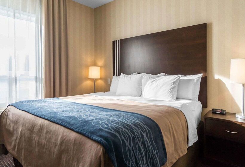 בית מלון כפרי Comfort Inn & Suites