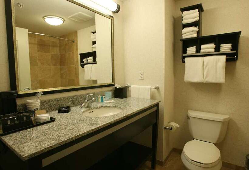 Отель Hampton Inn & Suites By Hilton Red Deer