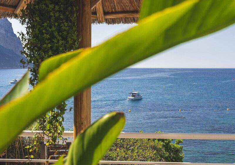 هتل De La Plage   Mahogany