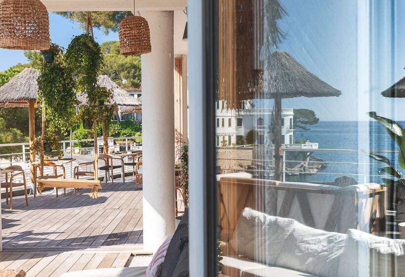 هتل De La Plage   Mahogany
