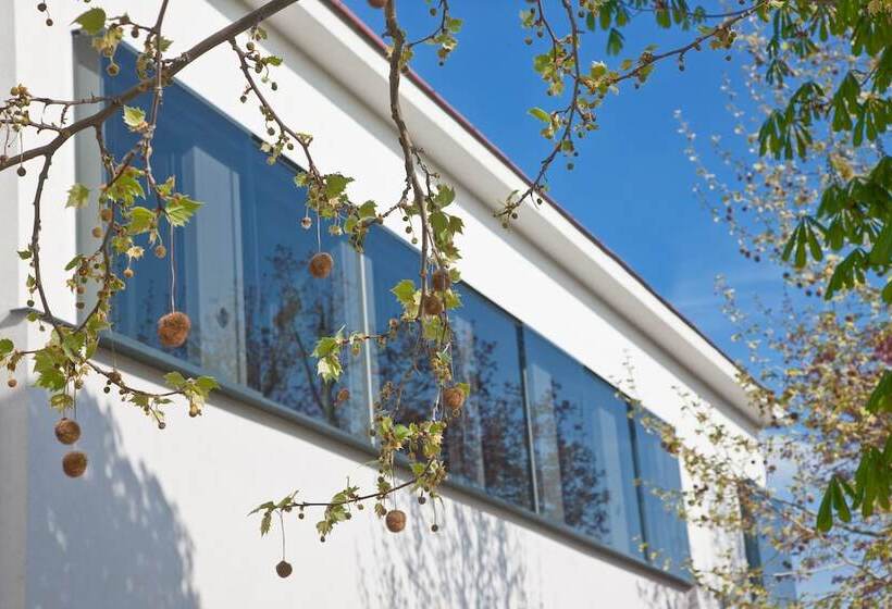 Fotos del hotel Strandhotel Alte Donau:  6