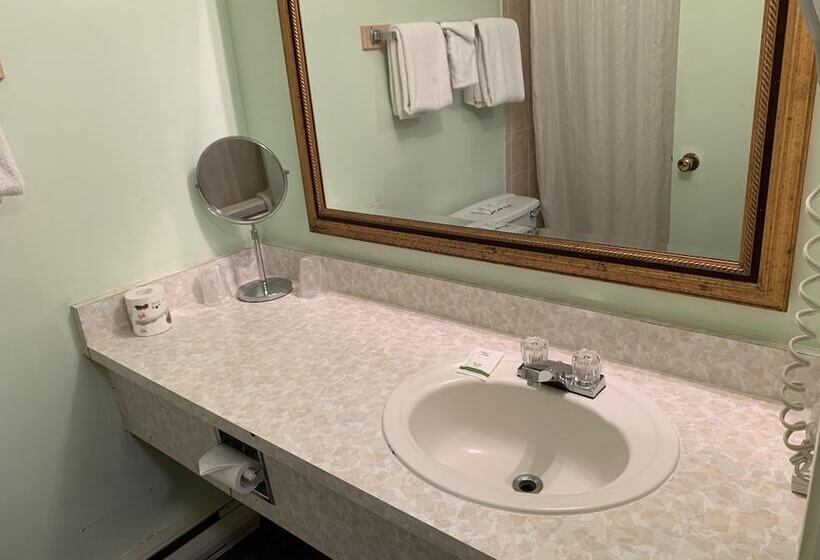Windsor Motel