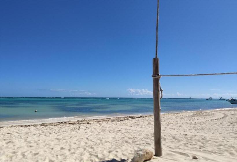 Fotos del hotel Bavaro Green:  33