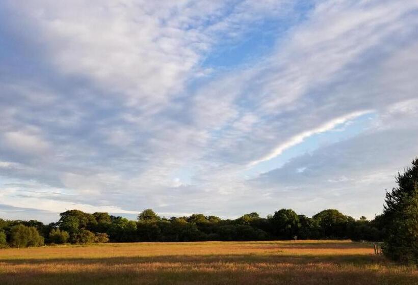 Hawthorn Self Catering Cottages