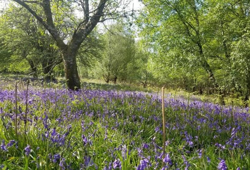 Hawthorn Self Catering Cottages