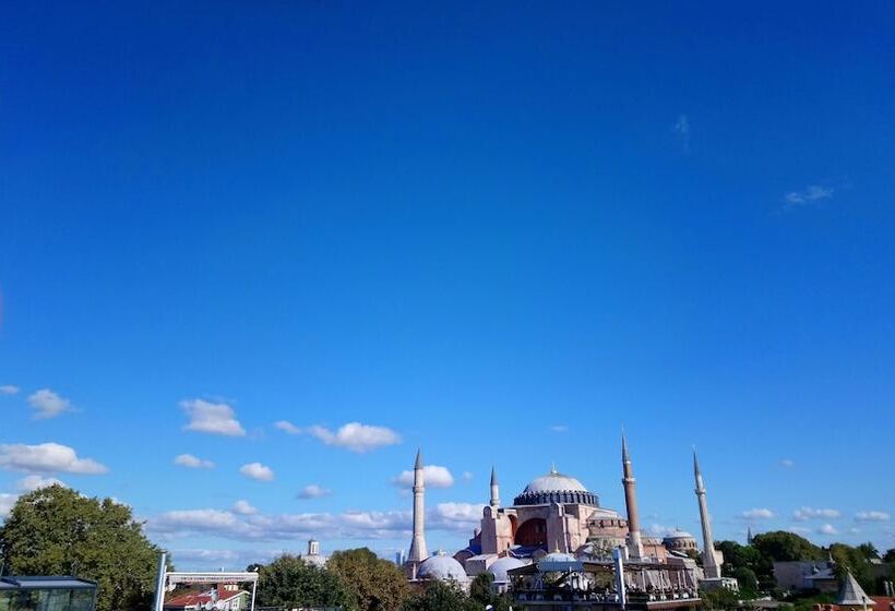 Fotos del hotel Cosmopolitan Park:  24