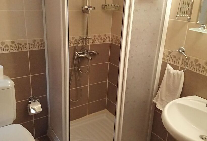 Fotos del hotel Cosmopolitan Park:  20