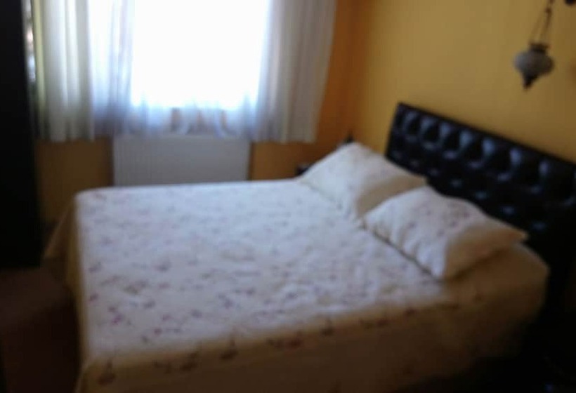 Fotos del hotel Cosmopolitan Park:  3