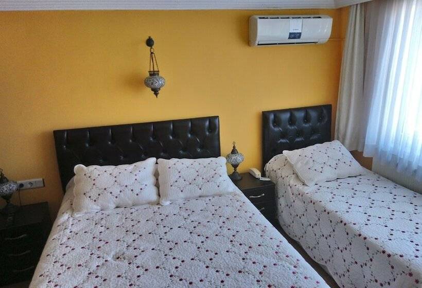 Fotos del hotel Cosmopolitan Park:  6