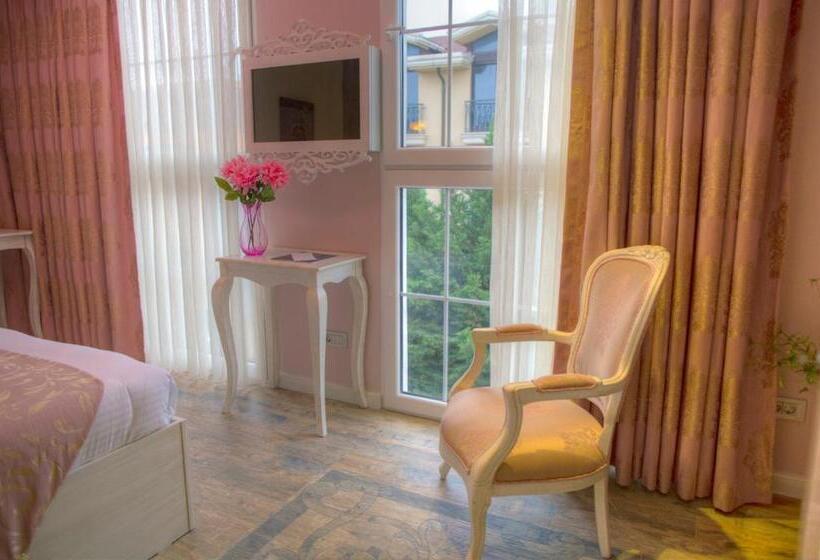 Fotos del hotel Elegance Asia:  4