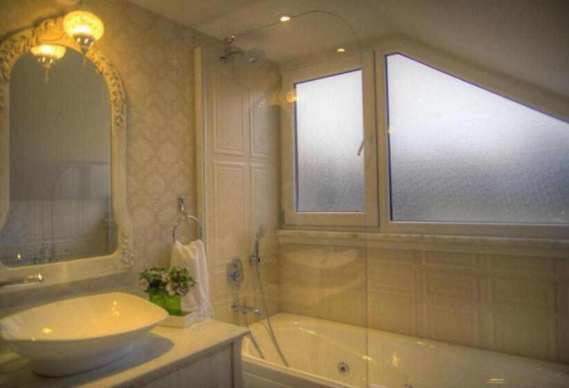 Fotos del hotel Elegance Asia:  53