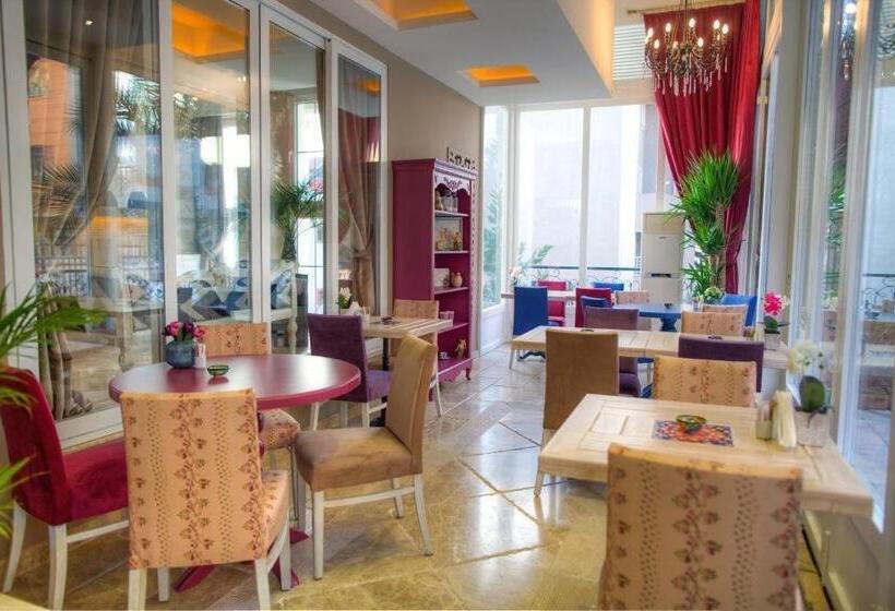 Fotos del hotel Elegance Asia:  33